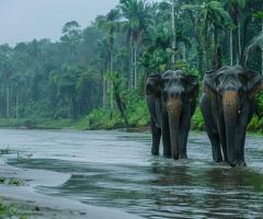 Experience the Wonders of Manu in Just 3 Days - 4