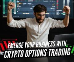 Crypto Options Trading Platform Development