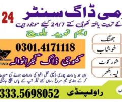 Army Dog Center Jhang 03014171118