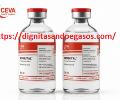 Nembutal for Sale in France | Buy Pentobarbital in France