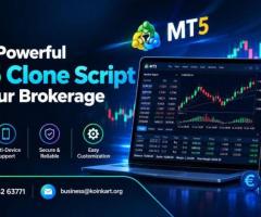 Get a Powerful MT5 Clone Script for Your Brokerage