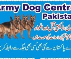 army dog ​​center attock 03454760111