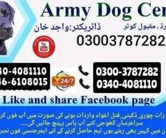 Army dog center sheikhupura 0326-8768029