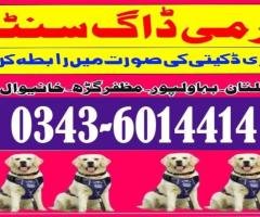 Army Dog Center Bahawalnagar 0343-6014414