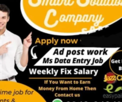 Smart solutions online work weekly salary.