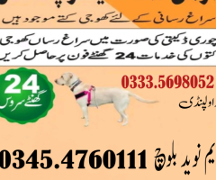 Army Dog Center Jhang03454760111