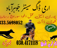 Army Dog Center Jhang 03454760111