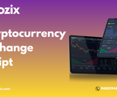 Launch your crypto exchange fast and on a budget from Apzix!