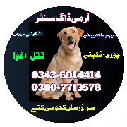 Dog Center Gujrat 03436014414