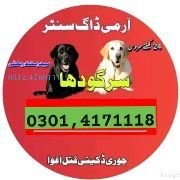 Army Dog Center Sargodha 03124760111